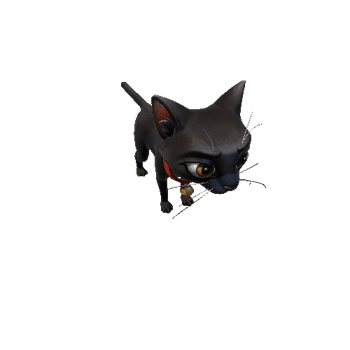 Cat Shorthair Black